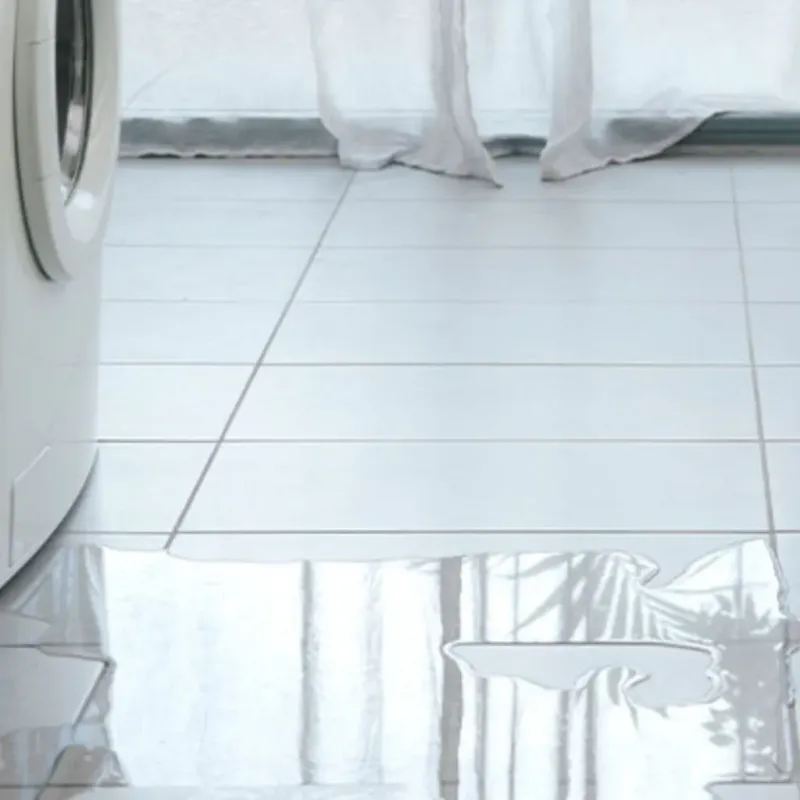 Appliance Leak Cleanup in Petal, MS