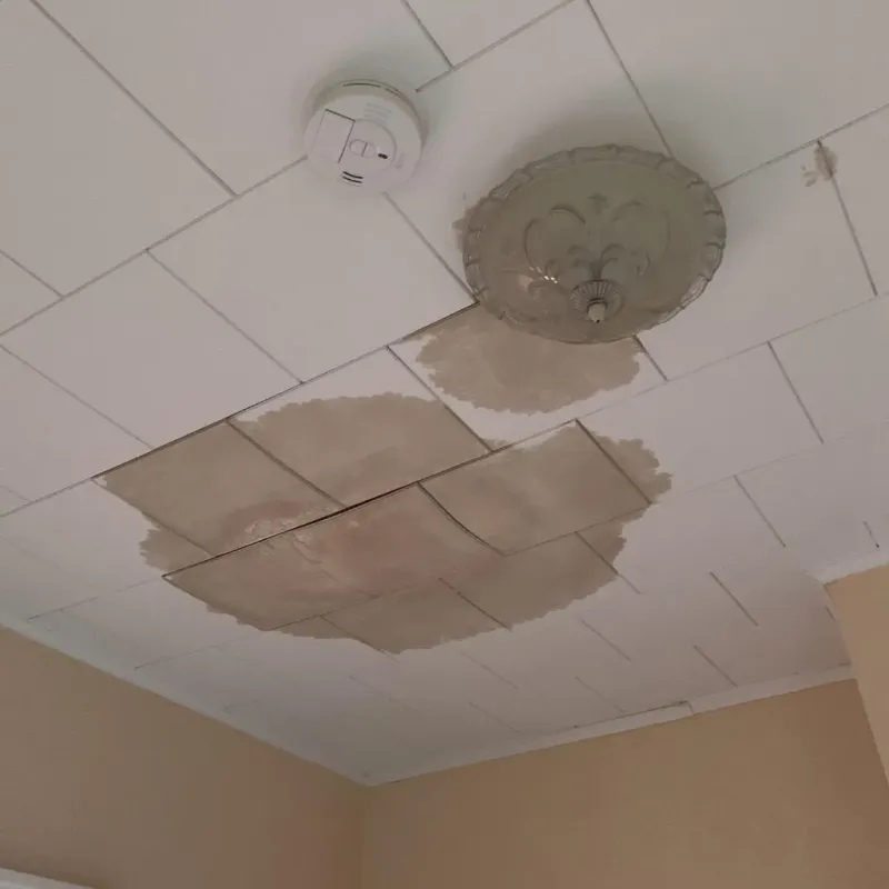 Ceiling Water Damage Repair in Petal, MS
