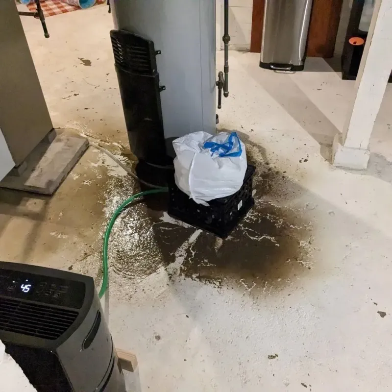Sewage Backup Cleanup Service in Petal, MS